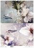 motywy roślinne, motywy kwiatowe, tło, tapeta, kolaż, rośliny, kwiaty*floral motifs, floral motifs, background, wallpaper, collage, plants, flowers*blumenmotive, blumenmotive, hintergrund, wallpaper, collage, pflanzen, blumen*motivos florales, motivos flo